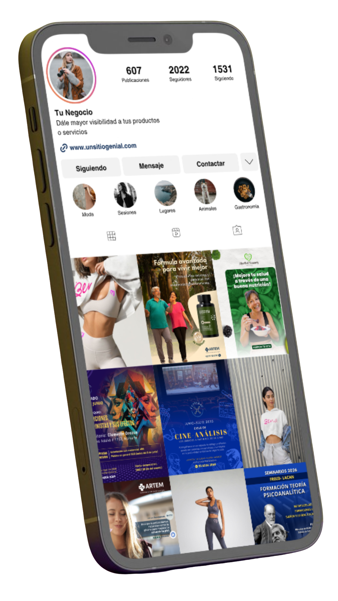 Vista previa de perfil de Instagram optimizado en smartphone